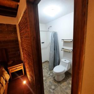 a bathroom with a toilet and a brick wall at Altépetl Cabañas Zacatlán in Tomatlán