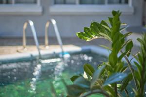 a plant in front of a swimming pool at Airport SJO Inn in Santiago Este