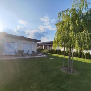 a tree in a yard next to a building at Garten Apartment Wurzinger in Halbenrain