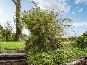 a tree with pink flowers on it in a garden at Gable End Cottage in Ingleton