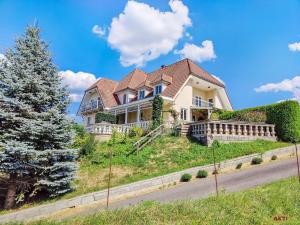 a large house on a hill with a tree at Das Holland in Kapfenstein