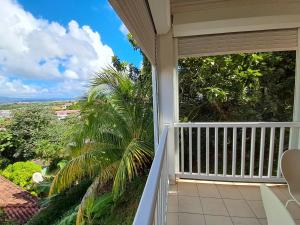 a balcony with a view of a palm tree at BlueHorizon180 in Ducos