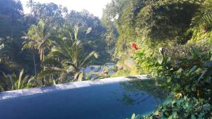 a swimming pool in the middle of a forest at Villa Wedang in Tegalalang
