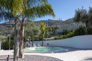 a swimming pool with a palm tree next to a wall at Villa Teresa in Cefalù