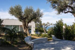 a walkway leading to a house with trees at Villa Teresa in Cefalù +54 photos