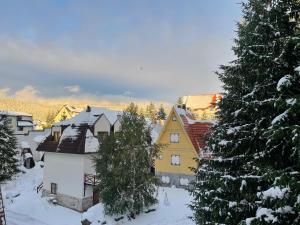 a group of houses and trees in the snow at Cozy Lodge Kopaonik in Kopaonik