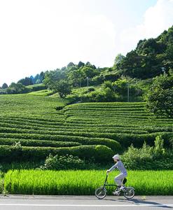 a person riding a bike in front of a field at Guesthouse Kimiko in Kasagicho