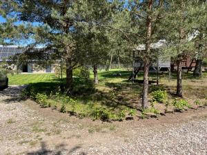a park with trees and a house in the background at Olszówka in Olszowa Droga +26 photos
