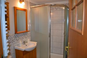 Ένα μπάνιο στο Apartament Centrum +24 φωτογραφίες