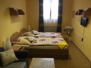 ein Schlafzimmer mit zwei Betten und einer Couch in der Unterkunft Penzion Janovice in Janovice nad Úhlavou