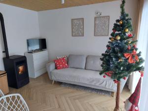 a christmas tree in a living room with a couch at Dom w lawendach nad jeziorem in Wielgie