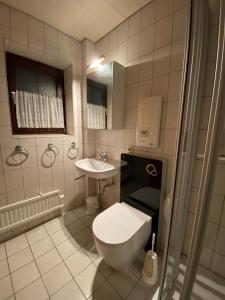a bathroom with a toilet and a sink at Saarstrasse 18h in Dahme +7 photos