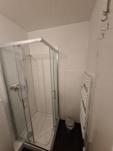 a shower stall in a bathroom with a toilet at Strandhotel Wohnung 4 in Dahme +3 photos