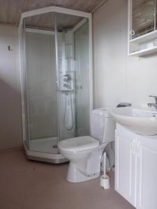 ein Bad mit einer Dusche, einem WC und einem Waschbecken in der Unterkunft Hagland Lille in Hagland