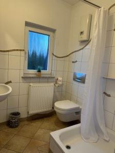 a bathroom with a toilet and a sink and a window at Villa Baltica Bungalow in Dahme