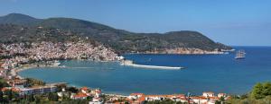 Blick auf eine Stadt und einen Hafen mit einem Boot in der Unterkunft Irene' s Paradise in Skopelos
