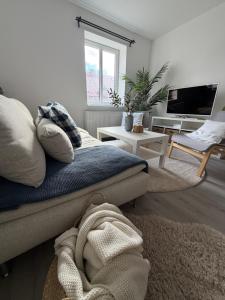 a bedroom with a bed and a living room at Apartmány Loučky Litvínov in Litvínov +28 photos