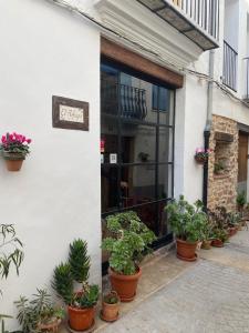 a store front with potted plants in front of it at Apartamentos turísticos "El Refugio" in Algar de Palancia