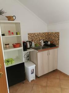 a small kitchen with a sink and a counter at Casa Maria in Negreşti-Oaş