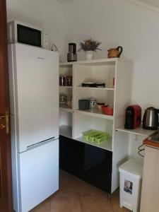 a white refrigerator freezer sitting in a kitchen at Casa Maria in Negreşti-Oaş