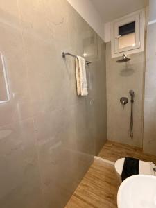a bathroom with a shower with a toilet and a sink at Aggelos Room 1 in Volos