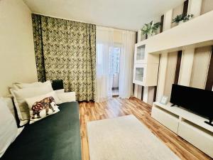 a living room with a couch and a television at Middeltown rose in Alba Iulia