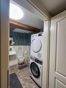 a bathroom with a washing machine and a toilet at Ferienhaus Sonnentälchen Weinberg in Konz +36 photos