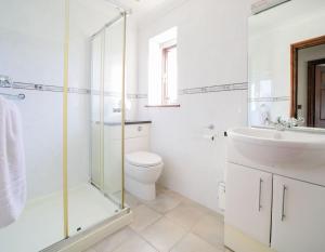 a bathroom with a toilet and a sink and a shower at Sycamore in Penpillick +16 photos