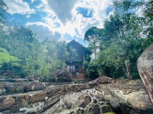 a house in the jungle with a stone wall at Hasruk Eco Rest in Yatipauwa +29 photos