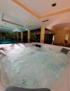 a jacuzzi tub in the middle of a swimming pool at Dorina Wellness Apartman in Siófok