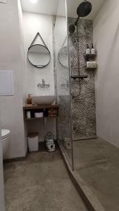 a bathroom with a shower and a sink at Apartmán Lucie in Pardubice +12 photos