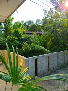 a retaining wall in a yard with plants at OCEAN Wild Trail in Hikkaduwa
