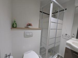 a bathroom with a shower and a toilet and a sink at Les Terrasses De Vignola in Porto-Vecchio +33 photos