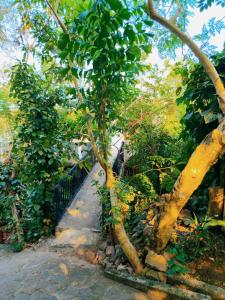 a tree next to a stone path with a fence at OCEAN Wild Trail in Hikkaduwa