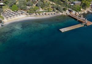an aerial view of a beach with a dock at WAM by Karma in Bodrum City