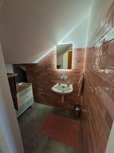 a bathroom with a sink and a mirror at Villa panorama 1000 in La Chaux-de-Fonds +45 photos