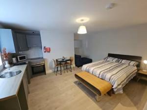a bedroom with a bed and a kitchen with a sink at Drumcondra Studio Apartment in Dublin