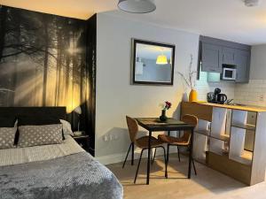 a bedroom with a bed and a table and a kitchen at Drumcondra Studio Apartment in Dublin +47 photos