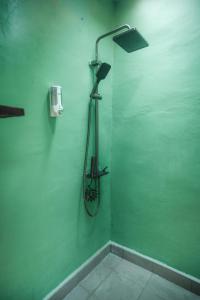 a shower in a bathroom with a green wall at Comuna Tigabelas in Gisi
