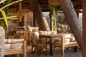 a restaurant with wooden tables and chairs and trees at NOMAD ARGENTARIO - Area Sosta Camper - NO TENDE - NO CARAVAN - Empty Pitch Only Campervan RV - SOLO PIAZZOLA PER IL PROPRIO CAMPER - Tariffa fino a 4 persone - TUTTI I SERVIZI INCLUSI in Albinia