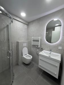 a bathroom with a toilet and a sink and a mirror at SILVIA apartment 101 in Druskininkai