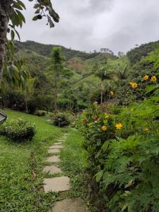 a garden path with flowers and a mountain in the background at Chalé Sorrizão- Visconde de Mauá in Bocaina de Minas