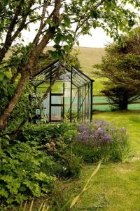 a small greenhouse in a field with purple flowers at Evrabister, Shetland Islands in Mainland