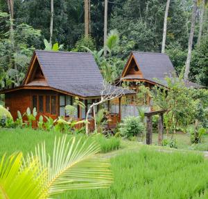a house in the middle of a lush green field at Uma Cabins by Uma Experience in Penginyahan