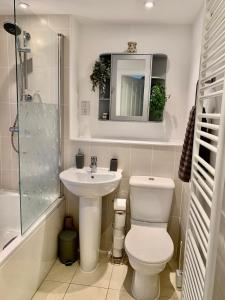 a bathroom with a toilet and a sink and a shower at The Coach House, Cleobury Mortimer in Cleobury Mortimer +23 photos