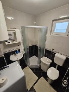 a bathroom with a shower and a toilet and a sink at Airport Apartment in Surčin