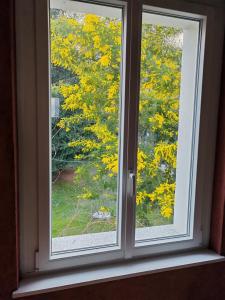 a window with a view of a tree at La Casetta di Renzo e Lucia in Olginate