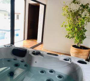 a bath tub with a potted plant in a room at Le Patio Bleu in La Crau