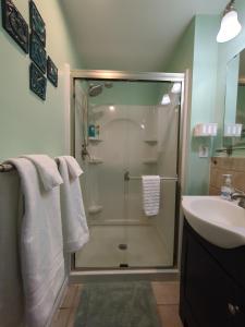 a bathroom with a shower and a sink at Private White Mountains Guest Suite - Welcome! in Littleton +24 photos