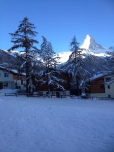 a snow covered building with trees and a mountain at Wohnung 17, Marico in Zermatt +18 photos
